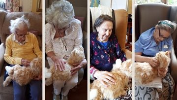 Walditch care home Residents get a new pet